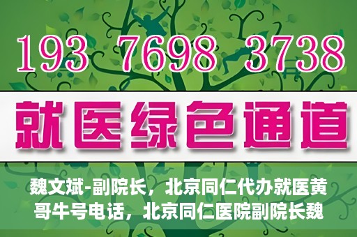 魏文斌-副院长，北京同仁代办就医黄哥牛号电话，北京同仁医院副院长魏文斌，就医黄哥牛号电话背后的故事与探索
