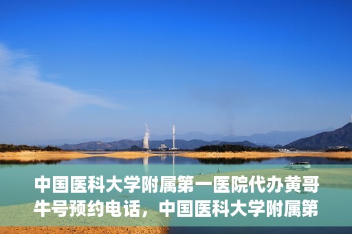 中国医科大学附属第一医院代办黄哥牛号预约电话，中国医科大学附属第一医院预约挂号代办服务，黄哥牛号预约电话详解