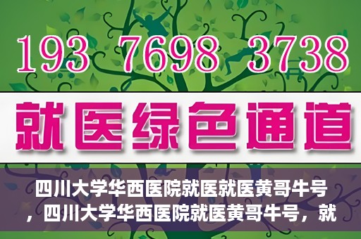 四川大学华西医院就医就医黄哥牛号，四川大学华西医院就医黄哥牛号，就医新体验与医疗创新力量