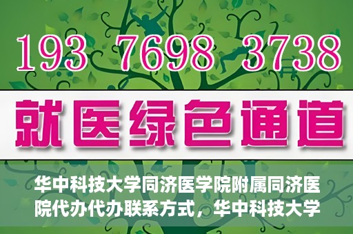 华中科技大学同济医学院附属同济医院代办代办联系方式，华中科技大学同济医学院附属同济医院代办服务联系方式揭秘