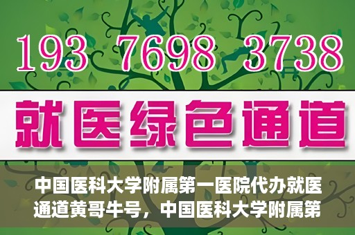 中国医科大学附属第一医院代办就医通道黄哥牛号，中国医科大学附属第一医院就医通道代办服务黄哥牛号解析