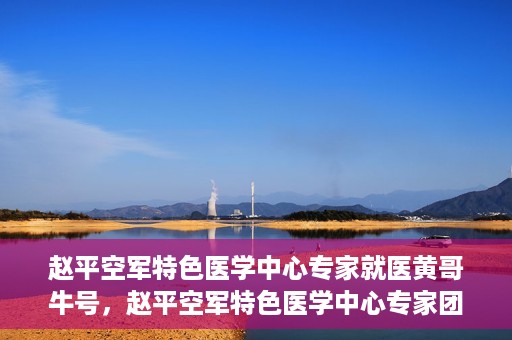 赵平空军特色医学中心专家就医黄哥牛号，赵平空军特色医学中心专家团队倾力诊治黄哥牛号背后的健康难题