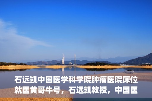 石远凯中国医学科学院肿瘤医院床位就医黄哥牛号，石远凯教授，中国医学科学院肿瘤医院床位就医攻略与黄哥牛号的故事