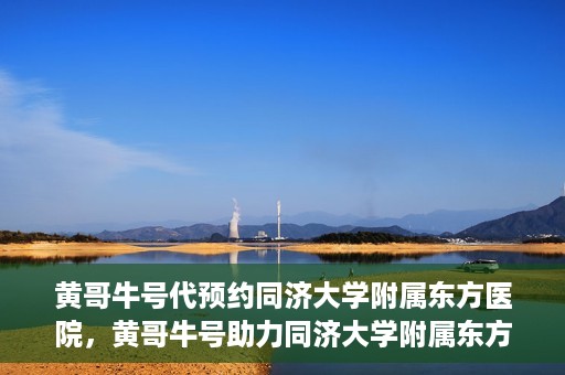 黄哥牛号代预约同济大学附属东方医院，黄哥牛号助力同济大学附属东方医院预约服务开启