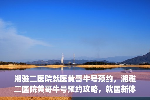 湘雅二医院就医黄哥牛号预约，湘雅二医院黄哥牛号预约攻略，就医新体验