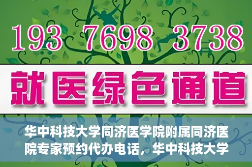 华中科技大学同济医学院附属同济医院专家预约代办电话，华中科技大学同济医学院附属同济医院专家预约代办服务热线