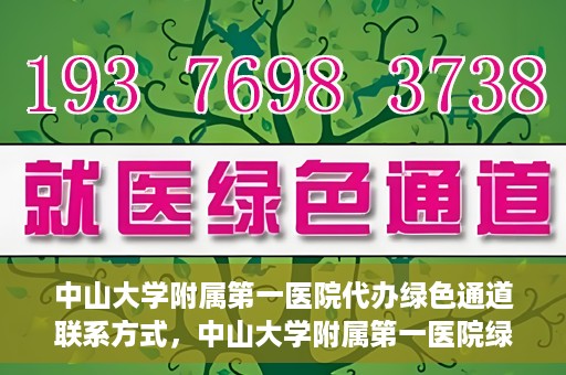 中山大学附属第一医院代办绿色通道联系方式，中山大学附属第一医院绿色通道代办服务联系方式揭秘
