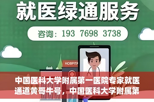 中国医科大学附属第一医院专家就医通道黄哥牛号，中国医科大学附属第一医院专家就医通道揭秘，黄哥牛号引领就医新风尚
