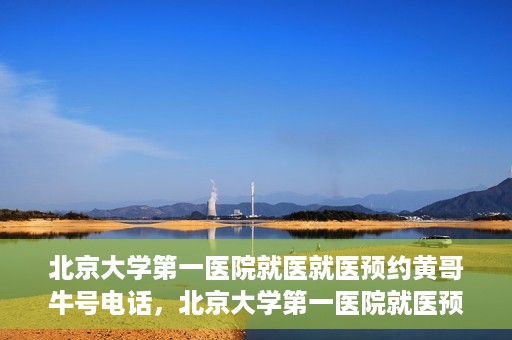 北京大学第一医院就医就医预约黄哥牛号电话，北京大学第一医院就医预约指南，黄哥牛号电话一键预约就医服务