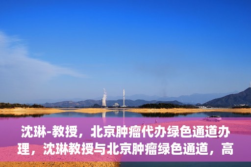 沈琳-教授，北京肿瘤代办绿色通道办理，沈琳教授与北京肿瘤绿色通道，高效代办助力健康之路