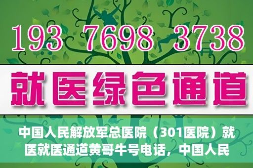 中国人民解放军总医院（301医院）就医就医通道黄哥牛号电话，中国人民解放军总医院（301医院）就医通道详解，黄哥牛号电话与就医指南