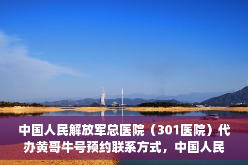 中国人民解放军总医院（301医院）代办黄哥牛号预约联系方式，中国人民解放军总医院（301医院）黄哥牛号预约联系方式全解析
