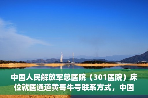 中国人民解放军总医院（301医院）床位就医通道黄哥牛号联系方式，中国人民解放军总医院（301医院）床位就医通道详解，黄哥牛号联系方式及就医指南