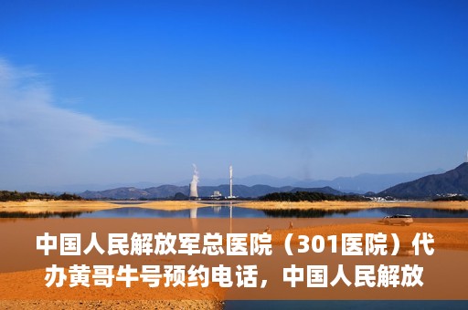 中国人民解放军总医院（301医院）代办黄哥牛号预约电话，中国人民解放军总医院（301医院）黄哥牛号预约电话代办服务详解
