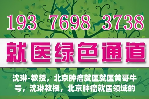 沈琳-教授，北京肿瘤就医就医黄哥牛号，沈琳教授，北京肿瘤就医领域的权威解读与黄哥牛号就医指南