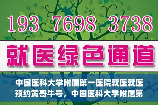 中国医科大学附属第一医院就医就医预约黄哥牛号，中国医科大学附属第一医院就医预约黄哥牛号，一站式便捷医疗体验新选择