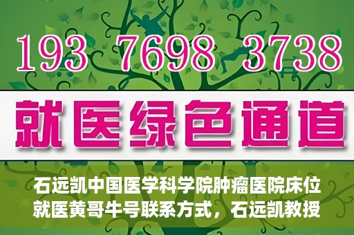 石远凯中国医学科学院肿瘤医院床位就医黄哥牛号联系方式，石远凯教授团队就医攻略，黄哥牛联系方式及中国医学科学院肿瘤医院床位预约指南