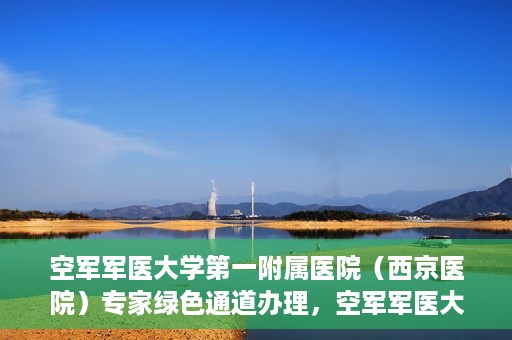 空军军医大学第一附属医院（西京医院）专家绿色通道办理，空军军医大学第一附属医院（西京医院）专家绿色通道办理详解与指南