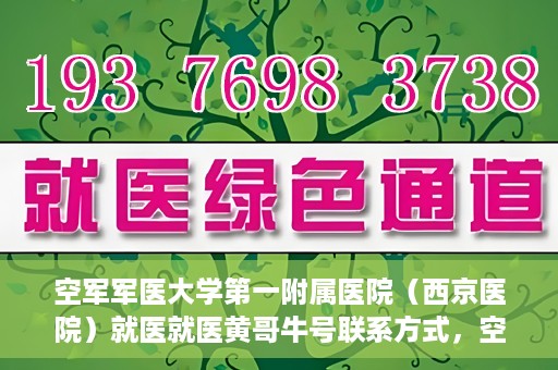 空军军医大学第一附属医院（西京医院）就医就医黄哥牛号联系方式，空军军医大学第一附属医院（西京医院）就医指南及黄哥牛号联系方式揭秘