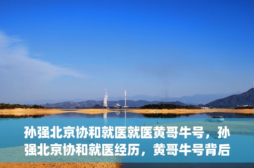 孙强北京协和就医就医黄哥牛号，孙强北京协和就医经历，黄哥牛号背后的故事