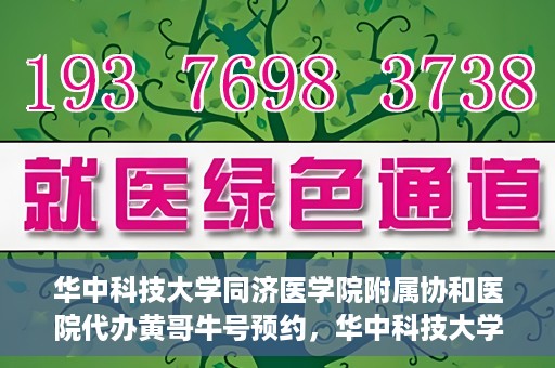 华中科技大学同济医学院附属协和医院代办黄哥牛号预约，华中科技大学同济医学院附属协和医院预约挂号代办服务解析——黄哥牛号预约攻略揭秘