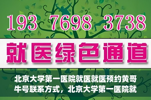 北京大学第一医院就医就医预约黄哥牛号联系方式，北京大学第一医院就医预约指南，黄哥牛号联系方式全解析