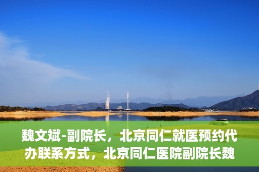 魏文斌-副院长，北京同仁就医预约代办联系方式，北京同仁医院副院长魏文斌，预约代办流程及联系方式解析