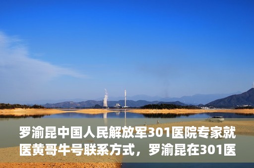 罗渝昆中国人民解放军301医院专家就医黄哥牛号联系方式，罗渝昆在301医院的健康守护者，黄哥牛号联系方式揭秘