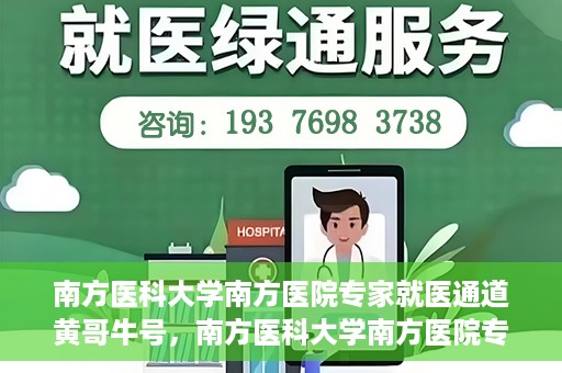 南方医科大学南方医院专家就医通道黄哥牛号，南方医科大学南方医院专家就医通道揭秘，黄哥牛号引领健康之路