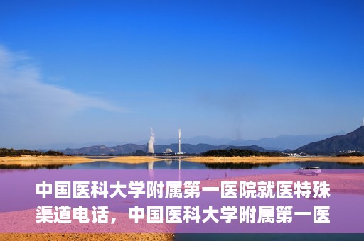 中国医科大学附属第一医院就医特殊渠道电话，中国医科大学附属第一医院特殊就医渠道联系电话详解