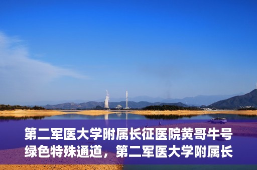 第二军医大学附属长征医院黄哥牛号绿色特殊通道，第二军医大学附属长征医院黄哥牛号，绿色特殊通道的医学之光