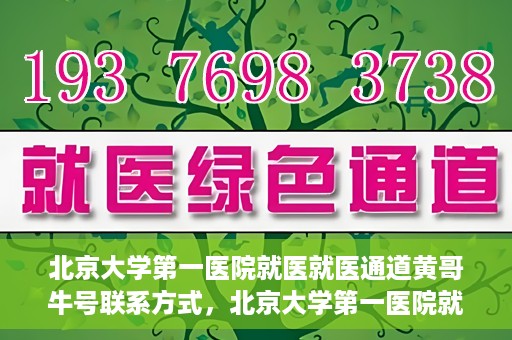 北京大学第一医院就医就医通道黄哥牛号联系方式，北京大学第一医院就医通道详解，黄哥牛号联系方式揭秘