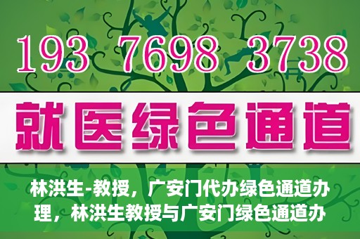 林洪生-教授，广安门代办绿色通道办理，林洪生教授与广安门绿色通道办理，专家解读与高效代办之道