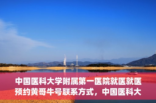 中国医科大学附属第一医院就医就医预约黄哥牛号联系方式，中国医科大学附属第一医院就医预约指南，黄哥牛号联系方式揭秘
