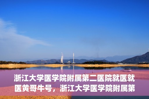 浙江大学医学院附属第二医院就医就医黄哥牛号，浙江大学医学院附属第二医院就医黄哥牛号，就医攻略与体验分享