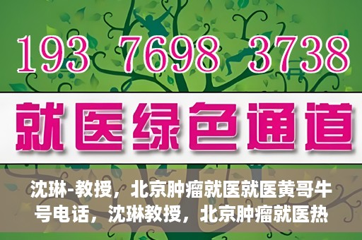 沈琳-教授，北京肿瘤就医就医黄哥牛号电话，沈琳教授，北京肿瘤就医热线黄哥牛号揭秘