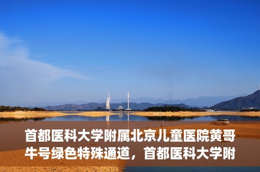 首都医科大学附属北京儿童医院黄哥牛号绿色特殊通道，首都医科大学附属北京儿童医院，黄哥牛号绿色特殊通道，助力儿童健康之路