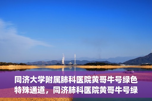 同济大学附属肺科医院黄哥牛号绿色特殊通道，同济肺科医院黄哥牛号绿色特殊通道揭秘