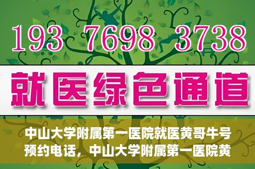 中山大学附属第一医院就医黄哥牛号预约电话，中山大学附属第一医院黄哥牛号预约电话及就医指南