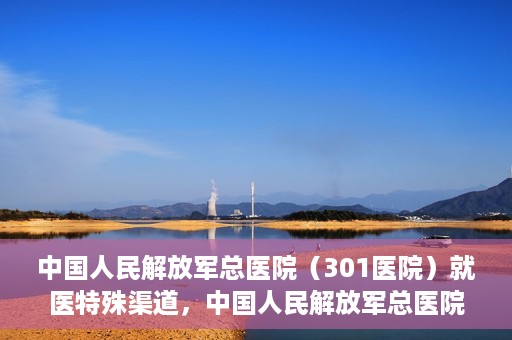 中国人民解放军总医院（301医院）就医特殊渠道，中国人民解放军总医院特殊就医渠道解析
