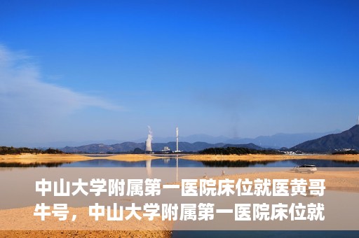 中山大学附属第一医院床位就医黄哥牛号，中山大学附属第一医院床位就医攻略，黄哥牛号助您轻松挂号就医