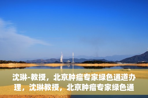 沈琳-教授，北京肿瘤专家绿色通道办理，沈琳教授，北京肿瘤专家绿色通道办理解析