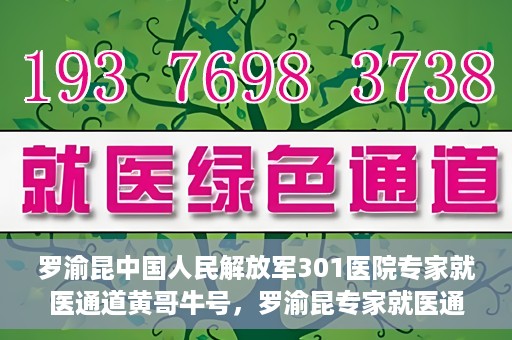 罗渝昆中国人民解放军301医院专家就医通道黄哥牛号，罗渝昆专家就医通道揭秘，中国人民解放军301医院黄哥牛号引领健康之路