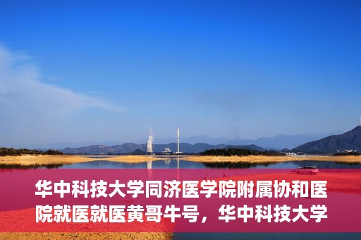 华中科技大学同济医学院附属协和医院就医就医黄哥牛号，华中科技大学同济医学院附属协和医院就医黄哥牛号解析与体验