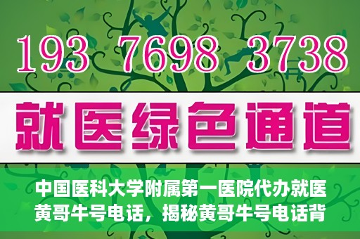 中国医科大学附属第一医院代办就医黄哥牛号电话，揭秘黄哥牛号电话背后的就医代办故事——中国医科大学附属第一医院就医指南与解读