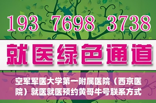 空军军医大学第一附属医院（西京医院）就医就医预约黄哥牛号联系方式，空军军医大学第一附属医院（西京医院）预约挂号联系方式揭秘，黄哥牛号助您轻松就医体验。