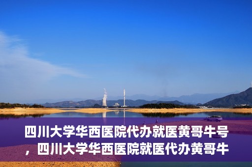 四川大学华西医院代办就医黄哥牛号，四川大学华西医院就医代办黄哥牛号解析，专业医疗服务的背后故事