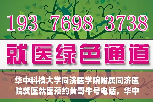 华中科技大学同济医学院附属同济医院就医就医预约黄哥牛号电话，华中科技大学同济医院就医预约指南，黄哥牛号电话全解析