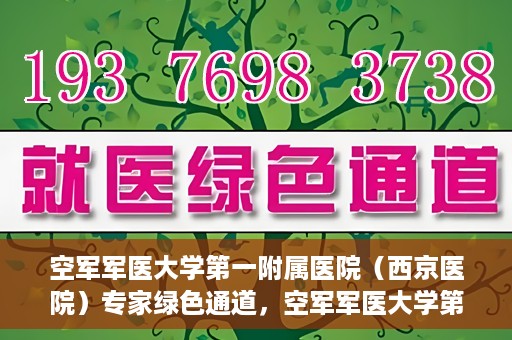 空军军医大学第一附属医院（西京医院）专家绿色通道，空军军医大学第一附属医院（西京医院）专家绿色通道，专业医疗服务的快速通道