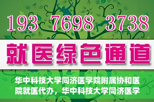 华中科技大学同济医学院附属协和医院就医代办，华中科技大学同济医学院附属协和医院就医代办服务详解